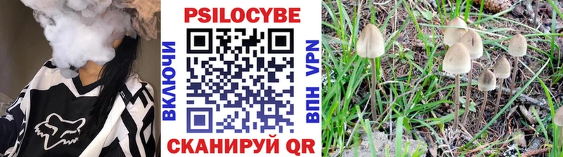 hydra маркетплейс  Мичуринск  Псилоцибиновые грибы Psilocybe 